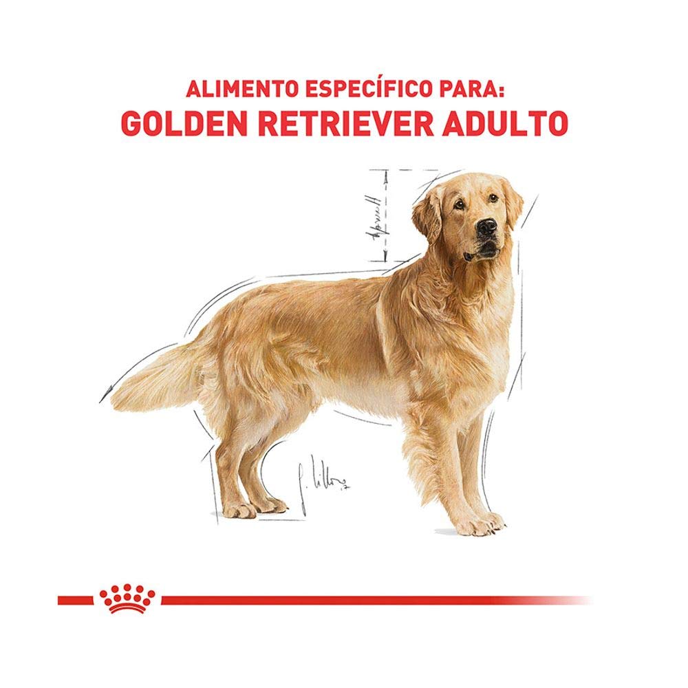 ドッグフード  CANIN Golden Retriever 12kg ROYAL CANIN Ração Royal Canin Golden Retriever Cães Adultos 12Kg
