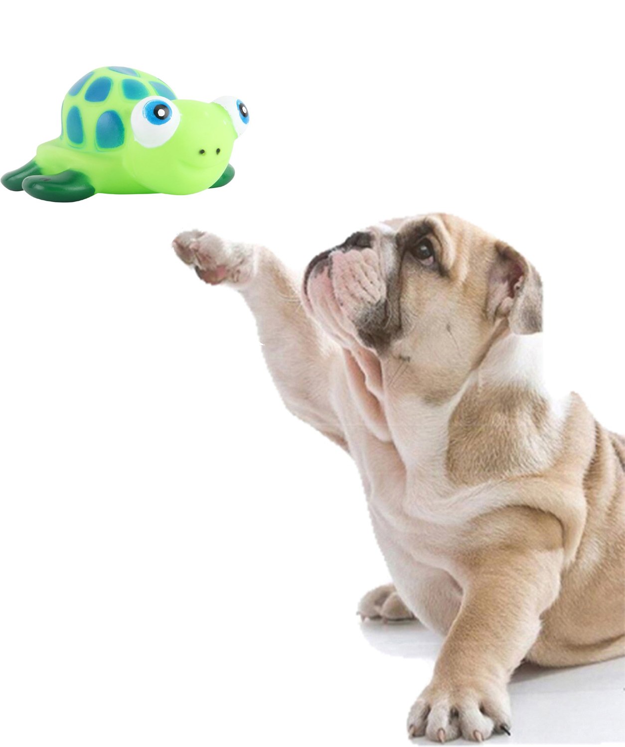 See full amazon price history chart for Sage Square Natural Rubber Squeaky Cum Chew Turtle Shape Toy for Dog/Puppy/Cat/Kitten Sage Square Natural Rubber Squeaky Cum Chew Turtle Shape Toy for Dog/Puppy/Cat/Kitten (B079SV4T9P) Amazon Price History, Amazon Price Tracker
