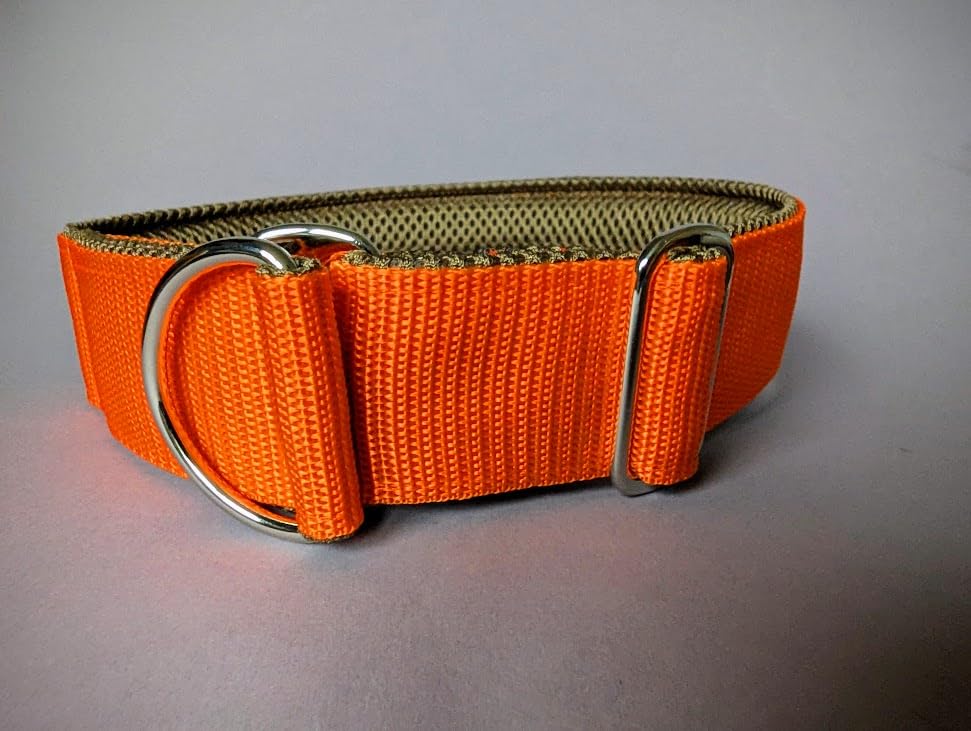 Breites 4cm Zugstopp-Halsband mit weicher Polsterung, verstellbar, robust & komfortabel in leuchtendem Orange, leicht & elegant (bis 38cm Hals- 44cm Kopfumfang)