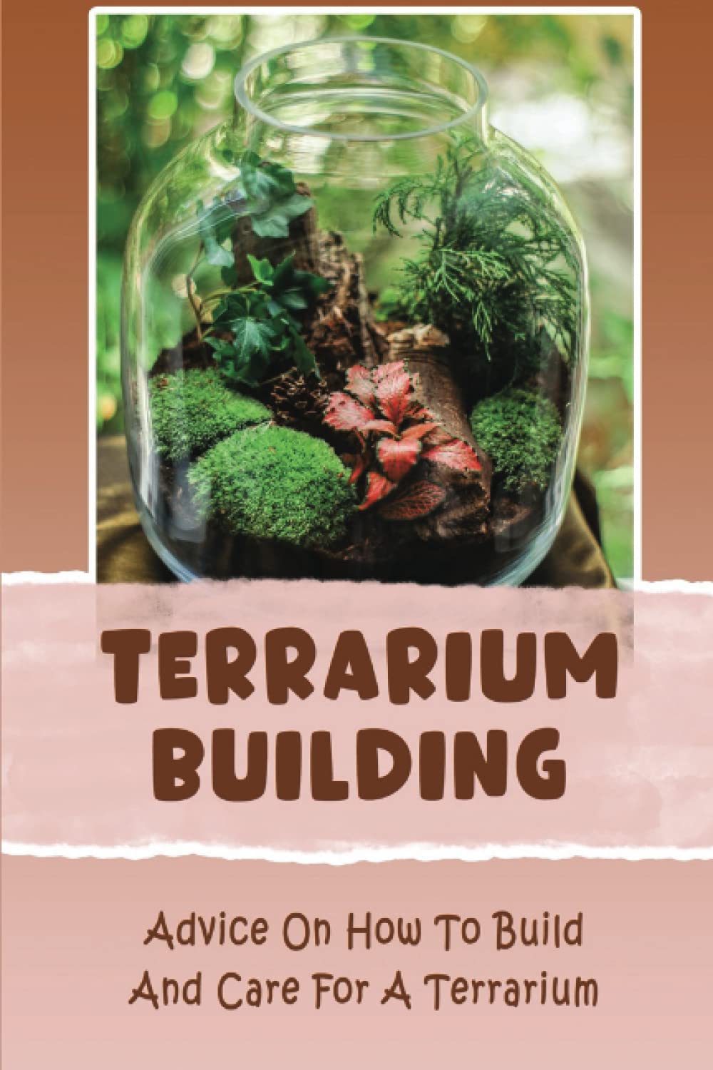 Terrarium Building: Advice On How To Build And Care For A Terrarium