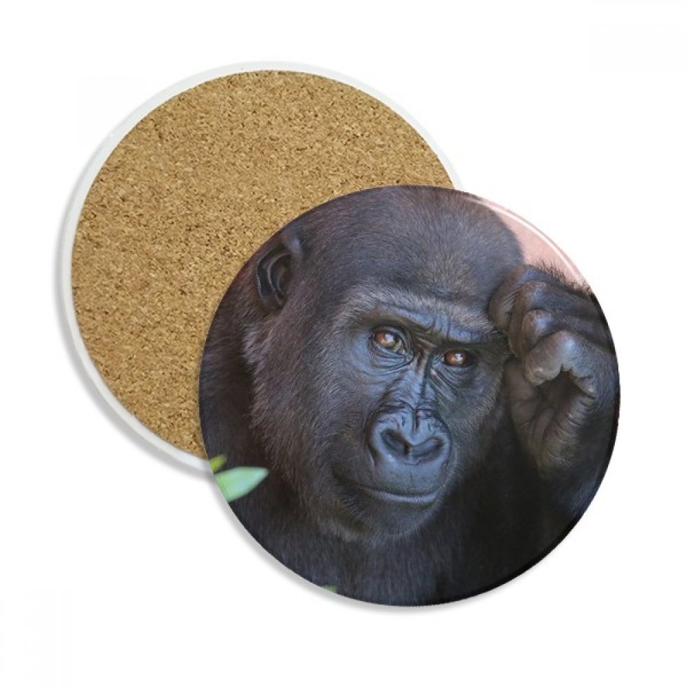 Chimpanzé caboteur céramique idée cadeau originale nature sauvage