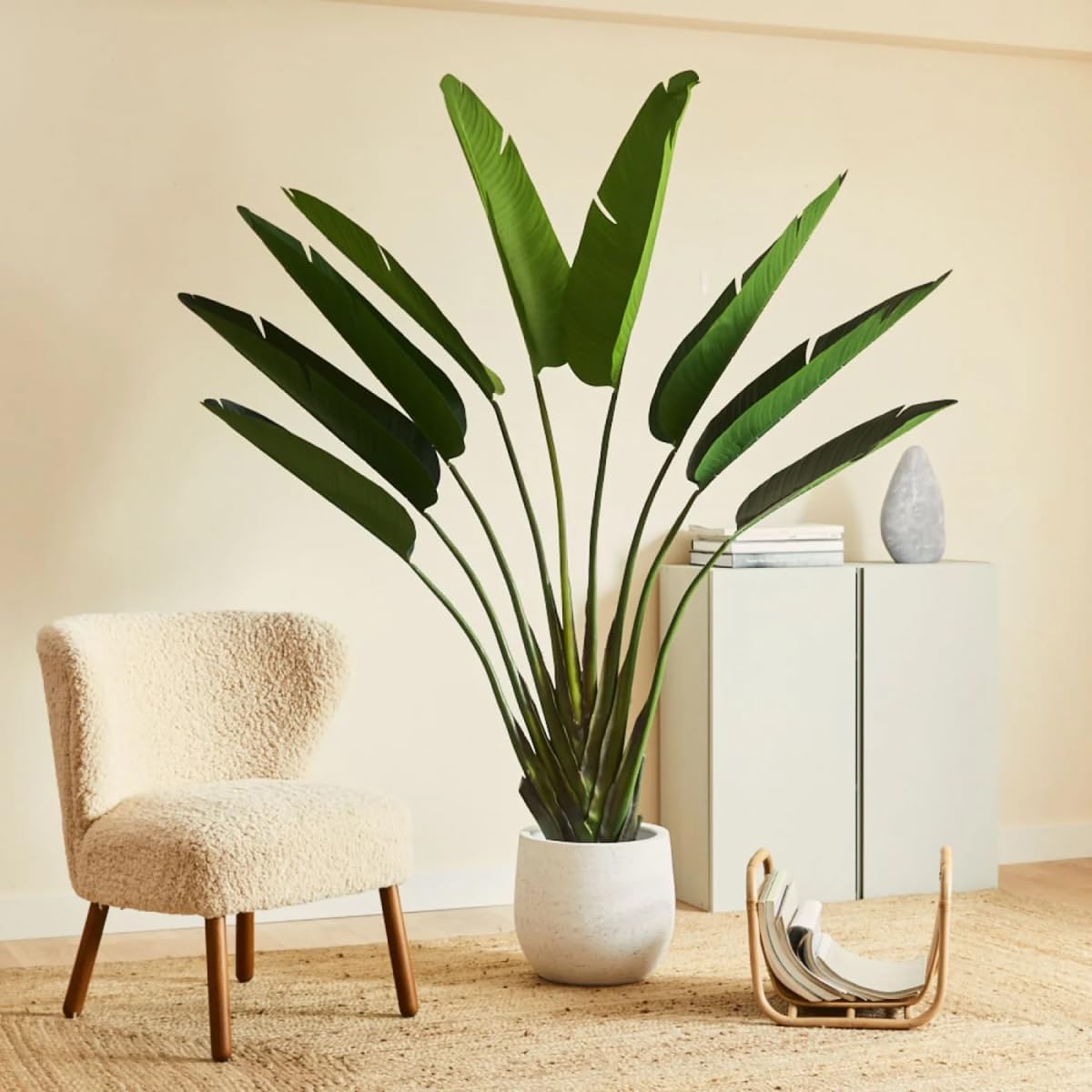 BLAINE - Piante Finte da Interno Albero di Strelitzia 180 cm
