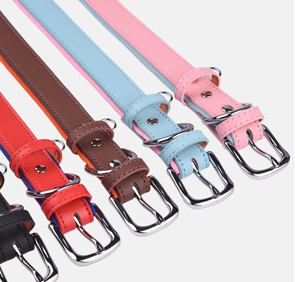 Haoyueer Hundehalsband Aus Nylon & Leder – Verstellbar Mit Metall-Schnalle Für Alle Hundegrößen