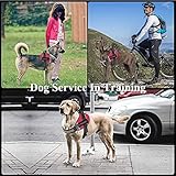 ASOCEA 2 Stück Hunde-Patch Abnehmbare Leder-Anhänger Klett-Patches für Haustiere Diensthund im Training Welpenweste-Geschirr-Befestigung für kleine mittelgroße Hunde