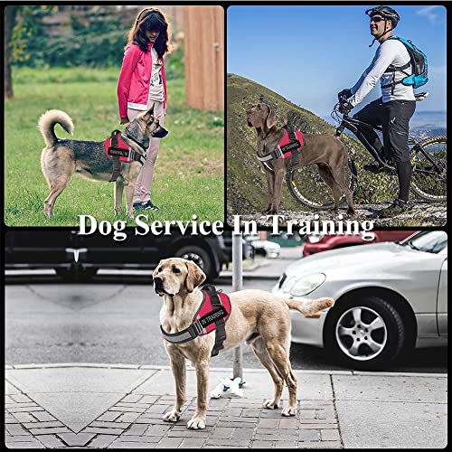 ASOCEA 2 Stück Hunde-Patch Abnehmbare Leder-Anhänger Klett-Patches für Haustiere Diensthund im Training Welpenweste-Geschirr-Befestigung für kleine mittelgroße Hunde