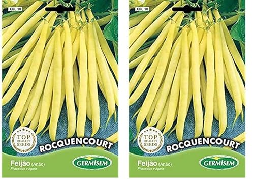 Germisem Rocquencourt Semillas de Frijol Francés 100 g (Paquete de 2)