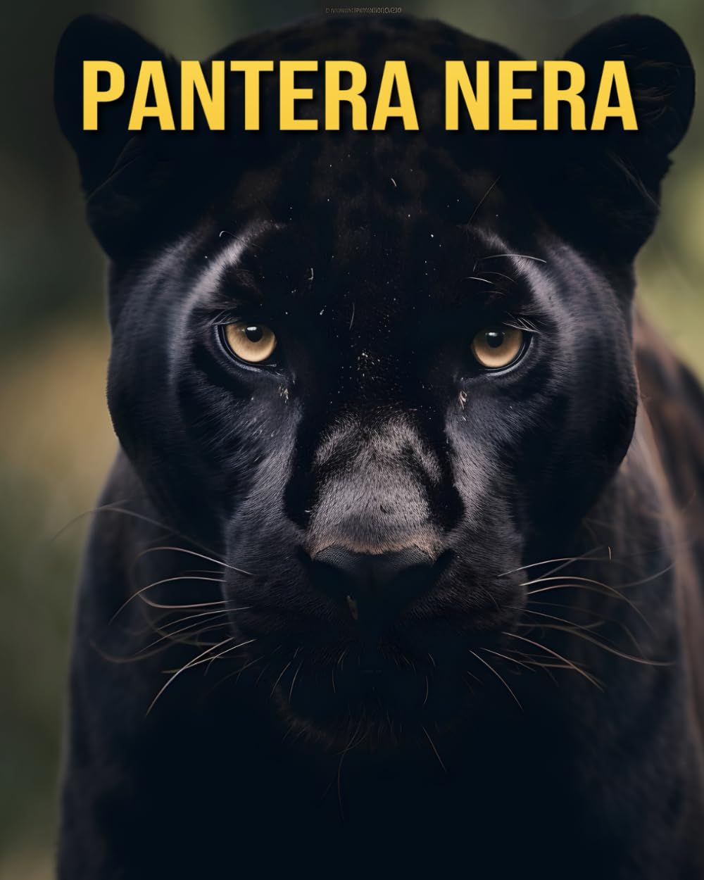Pantera nera: Curiosità Divertenti e Immagini Straordinarie sui Pantera nera