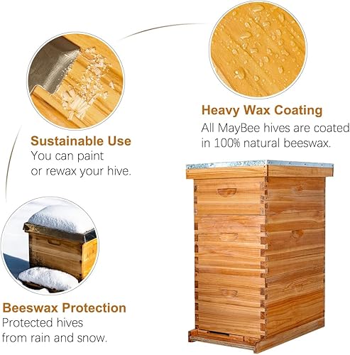 Miniatura 3 de MayBee Colmena Langstroth de 8 marcos sumergida en cera de abejas 100%, colmena de abejas para principiantes, colmena de abeja de miel incluye 2