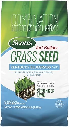 Scotts Turf Builder Grass Seed Kentucky Bluegrass Mix crece denso, césped verde con nutrición de construcción de raíces, 5.6 libras