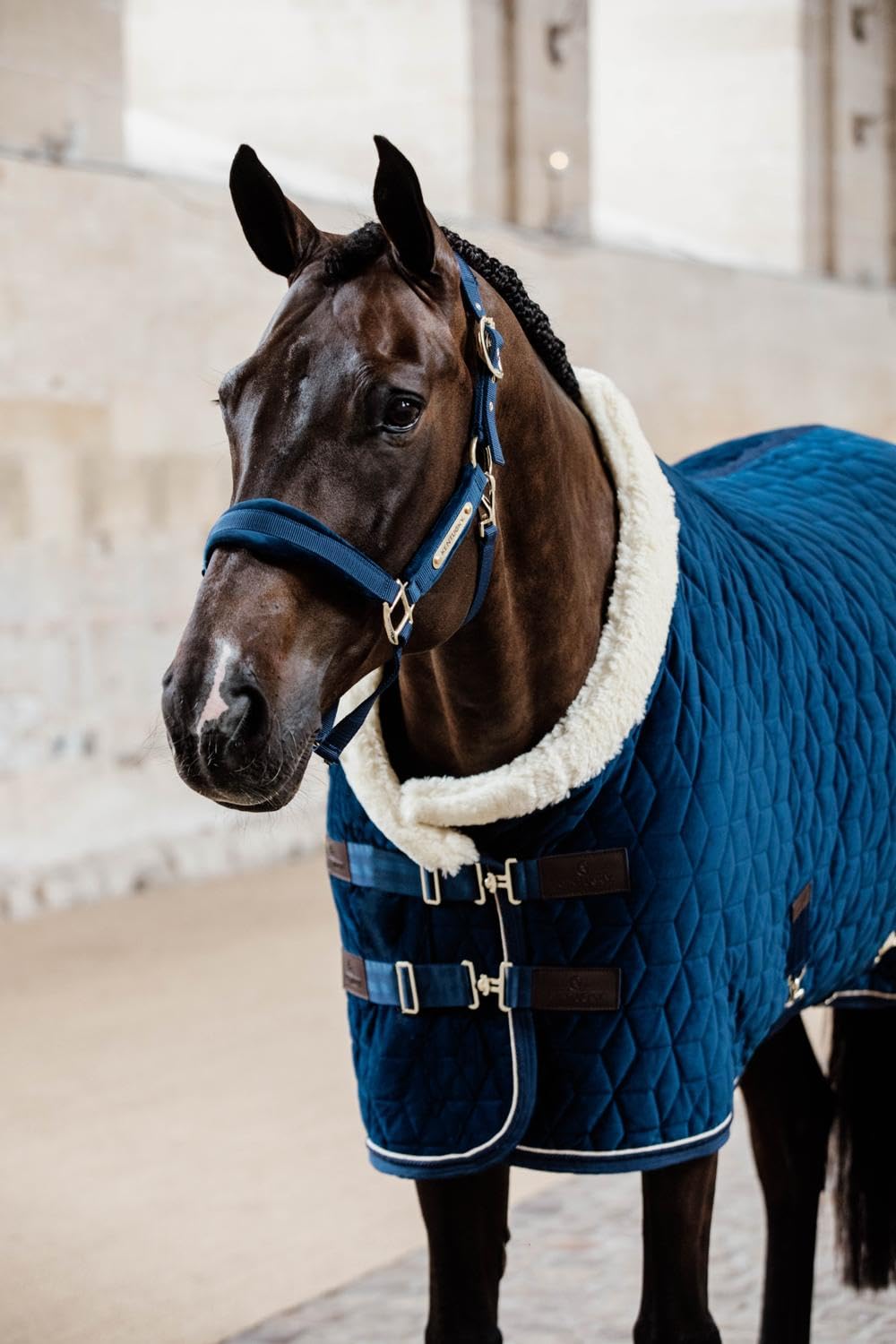 Kentucky Capezza Velvet in Size: COB (EU). - Dark Blu - COB