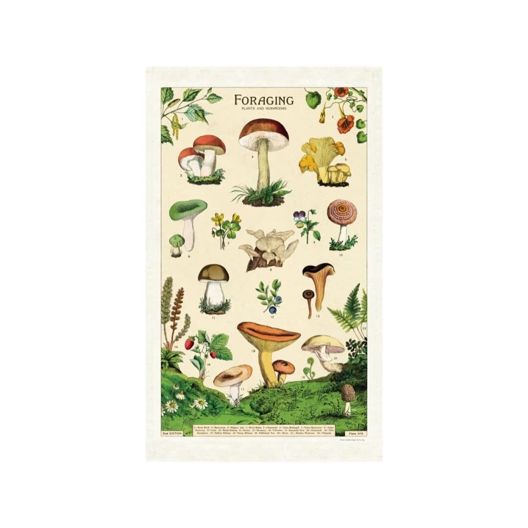 Cavallini & Co. Natural Cotton Cavallini Foraging Tea Towel
