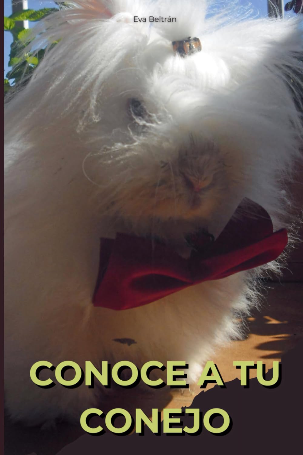 Conoce a tu conejo