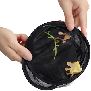 Art Car Collection (Product Information: Set of 2) - Generic