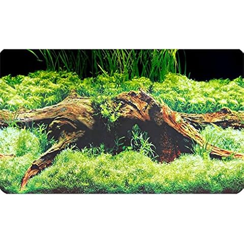Hobby 31011 Fotorückwand Zuschnitt Spring/Moss Cover