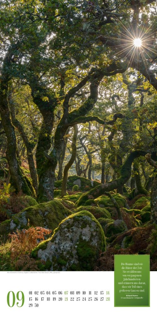 Mythos Wald Kalender 2025, Wandkalender im Hochformat (33x66 cm) - Naturkalender / Literaturkalender mit Zitaten