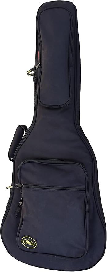 Custodia Per Chitarra Classica In ABS - Interno Imbottito, Colore Oro, Con Scomparto