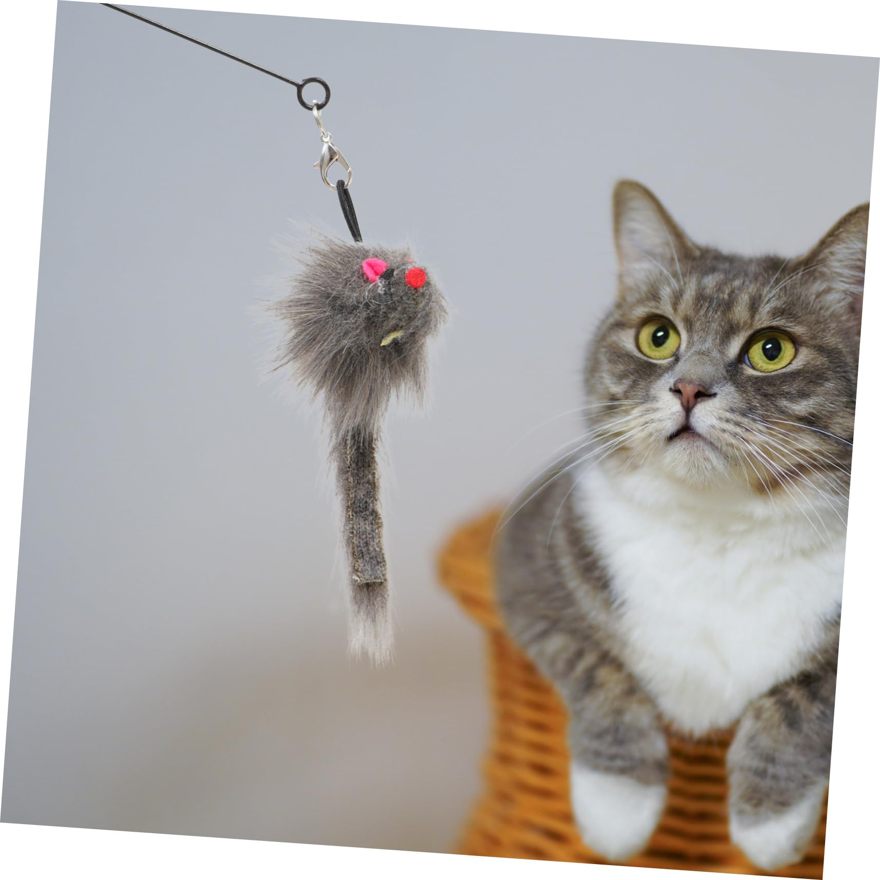 Teaser Stick per gatti - Divertente giocattolo adesivo per finestra per gattini - Gioco interattivo per gatti