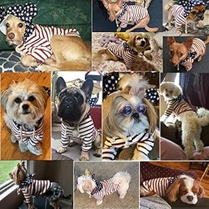 Pet-Clothes-Dogs-Hoodies-for-Small-Dogs-Cats-Sweater-Onesie-Puppy-Tracksuit-Pajamas-4th-of-July - Cucciolini Doodles   Pet-Clothes-Dogs-Hoodies-for-Small-Dogs-Cats-Sweater-Onesie-Puppy-Tracksuit-Pajamas-4th-of-July
