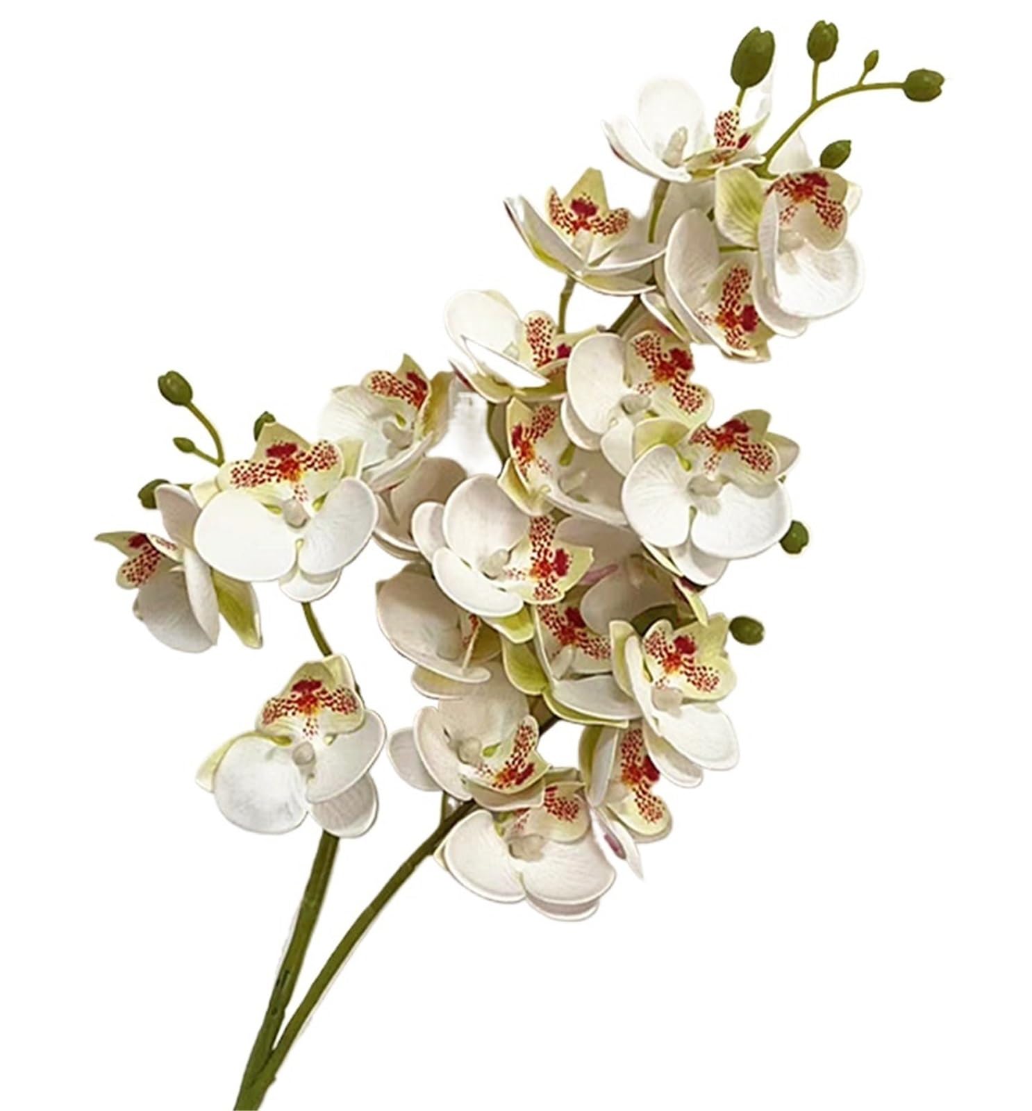 GMGQJST Artificial Orchid One Latex Butterfly Orchid Flowers