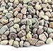 Landscape Rock and Pebble | 20 Pounds | Natural, Decorative Stones and Gravel for Landscaping, Gardening, Potted Plants, and More (Patagonia, 3/8 Inch)