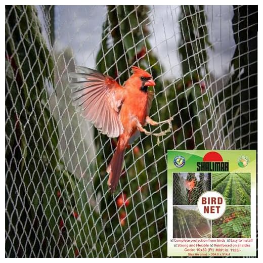 Shalimar Bird Net/Anti Bird Net/Pigeon Net/Garden Net/Bird Control Net UV Stabilised HDPE Monofilament Netting Solution (10 X 30)