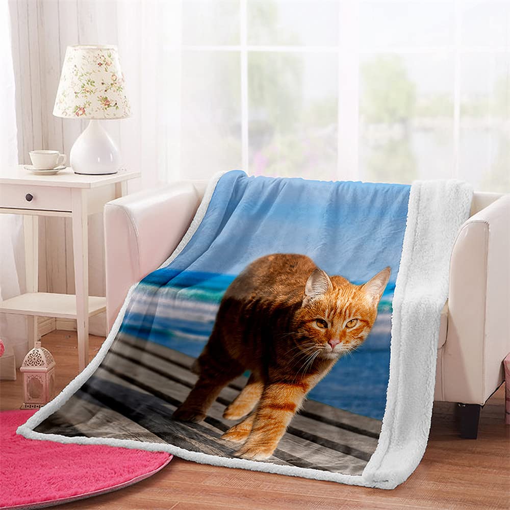 Highdi 3D Gatto Cane Coperta di Morbida Pile, Calda e Accogliente Plaid Invernale Autunnale Divano Coperta Microfibra Pelosa, per Letto Soggiorno Bambini e Adulti (Bulldog,76x102cm