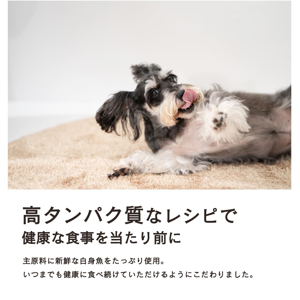Amazon.co.jp: GRANDS (グランツ) 人工添加物不使用 グレインフリー 全