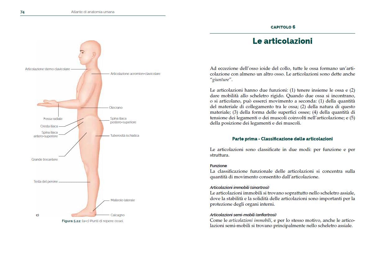 Atlante di anatomia umana. Guida pratica illustrata. Ediz. a colori