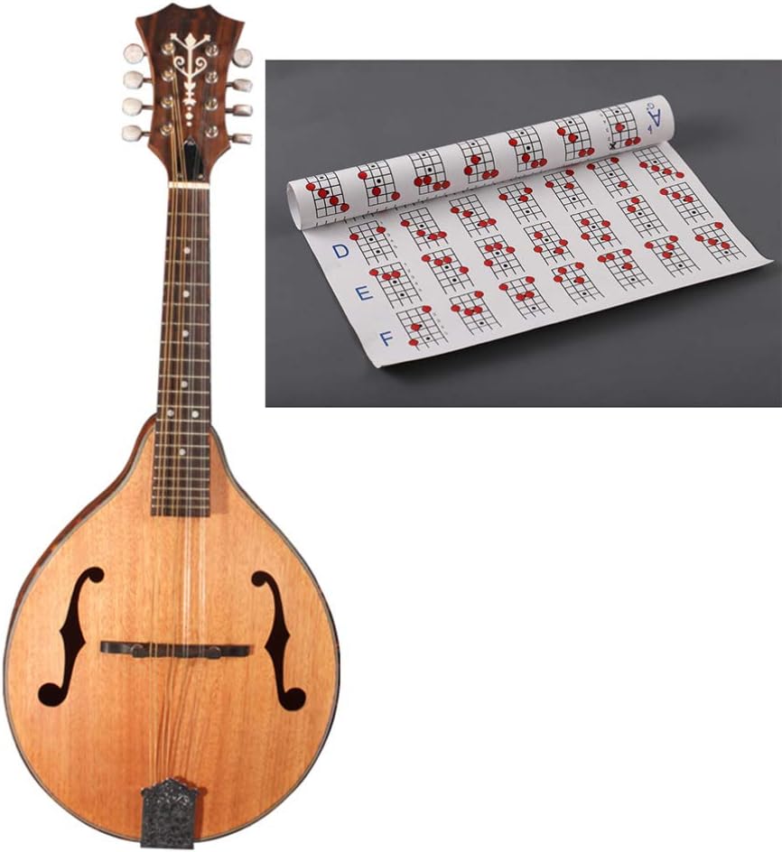 Exercise Posters Mandolin Exercise Diagram Mandolin Ubuy Singapore