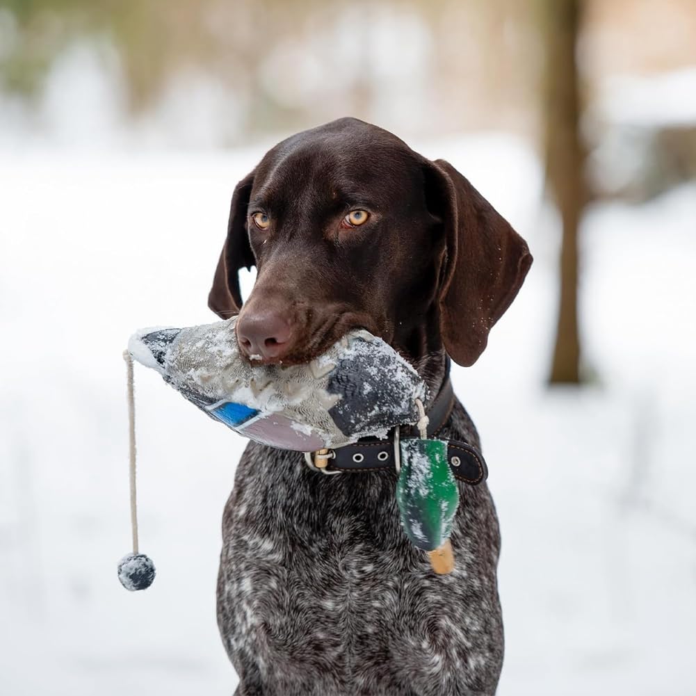 Pare-chocs en forme de canard imite un dummy de canard comme jouet de pare-chocs pour l'entraînement des chiots ou des chiens de chasse adultes