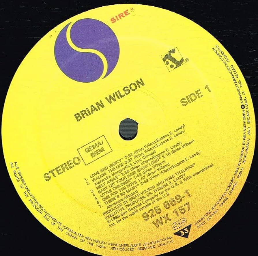 Amazon.co.jp: Brian Wilson: ミュージック