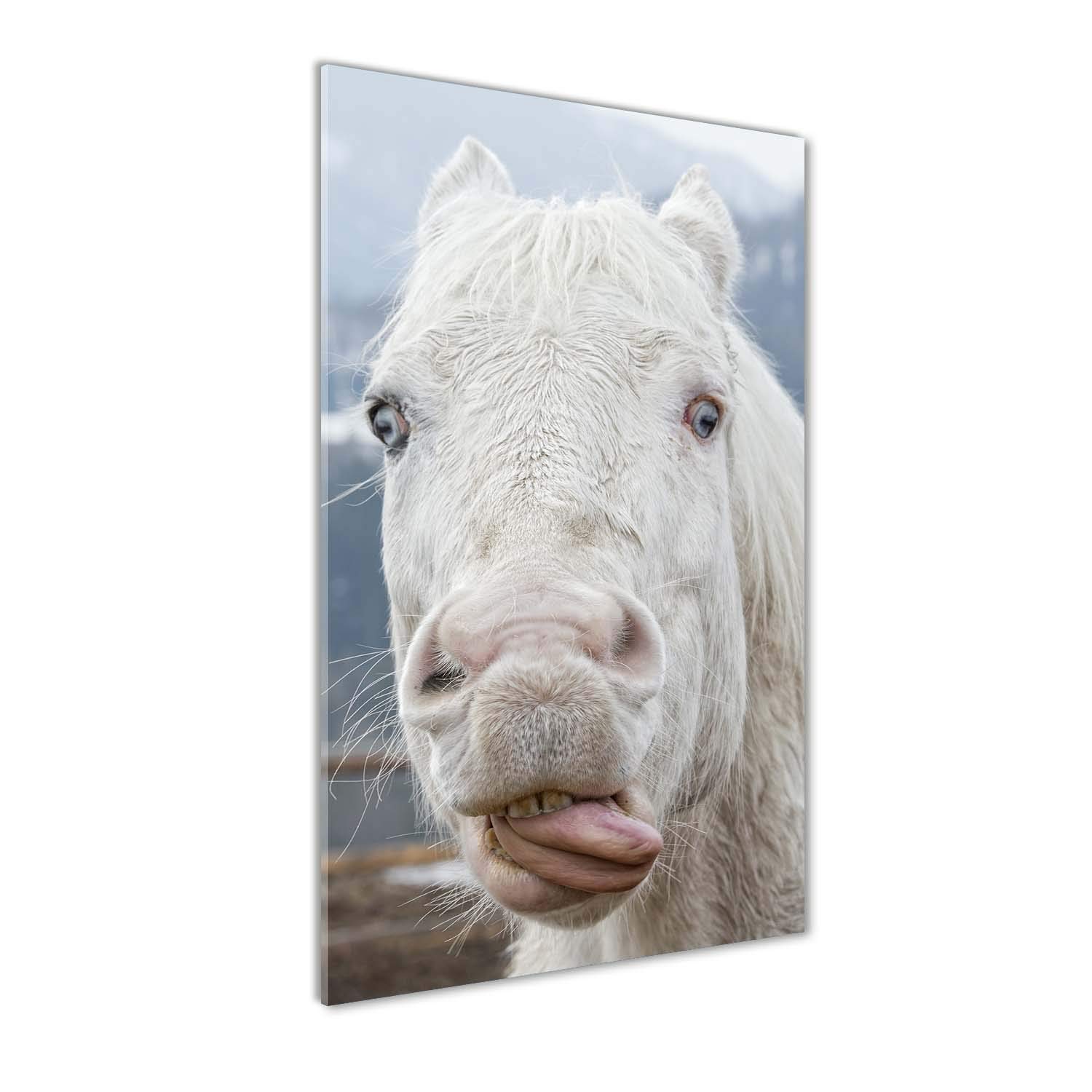 Tableau Photo sur Verre 60x120 cm Cheval Blanc Fou pour Décoration Cuisine et Salon