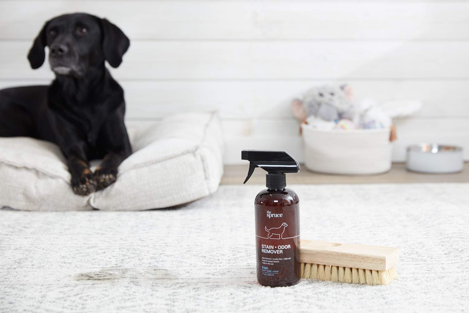 The Spruce Removedor de manchas y olores para mascotas, limpiador a base de enzimas derivado de plantas para orina de perros y gatos, heces, vómito, etc. Seguro y eficaz en azulejos, madera dura,