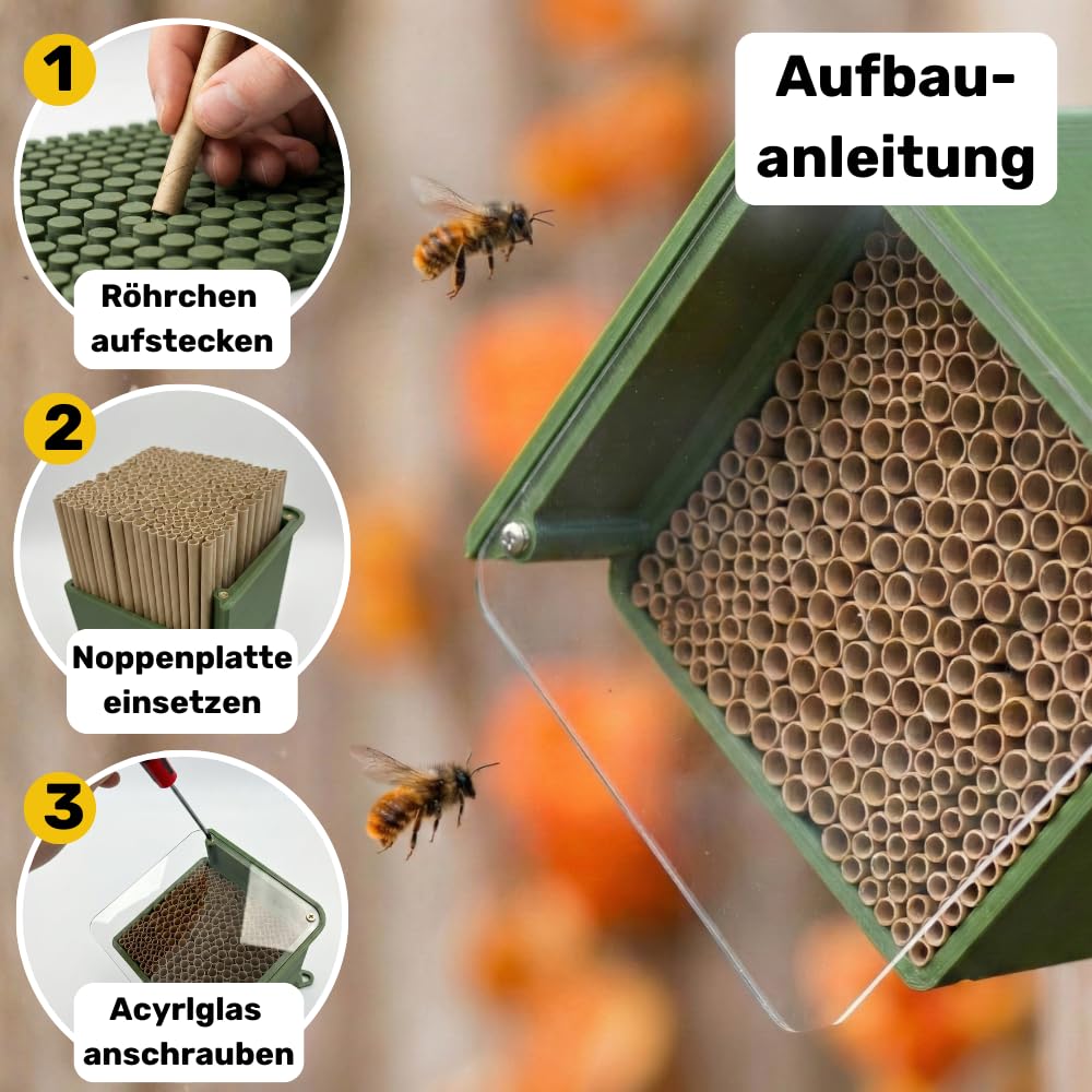 BEESI Insektenhotel für Wildbienen – Wetterfeste Nisthilfe mit 266 auswechselbaren Nisthülsen – Langlebiges Bienenhotel zum selbst Zusammenbauen