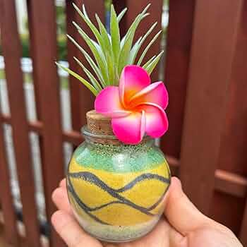 カラーサンドアート/ハワイ/南国 61BYrXyDZKL._UF350,350_QL50_.jpg