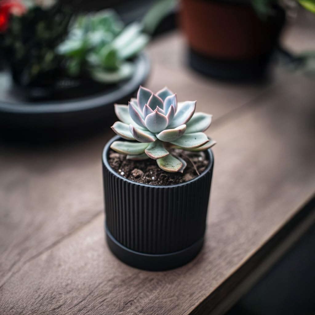 HERDUK Small Plant Pots, 4 Inch Pots for Indoor Plants, Modern Minimalist Ceramic Plant Pots with Drainage Hole & Saucer, Matte Black Set of 2