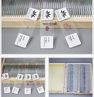 100Pcs Histology Human Tissue Anatomy Slides, Tissues and Organs Microscope Slides Histology Human Tissue Study | Home or School Educational Use | Blood, Muscle, and Organ Samples