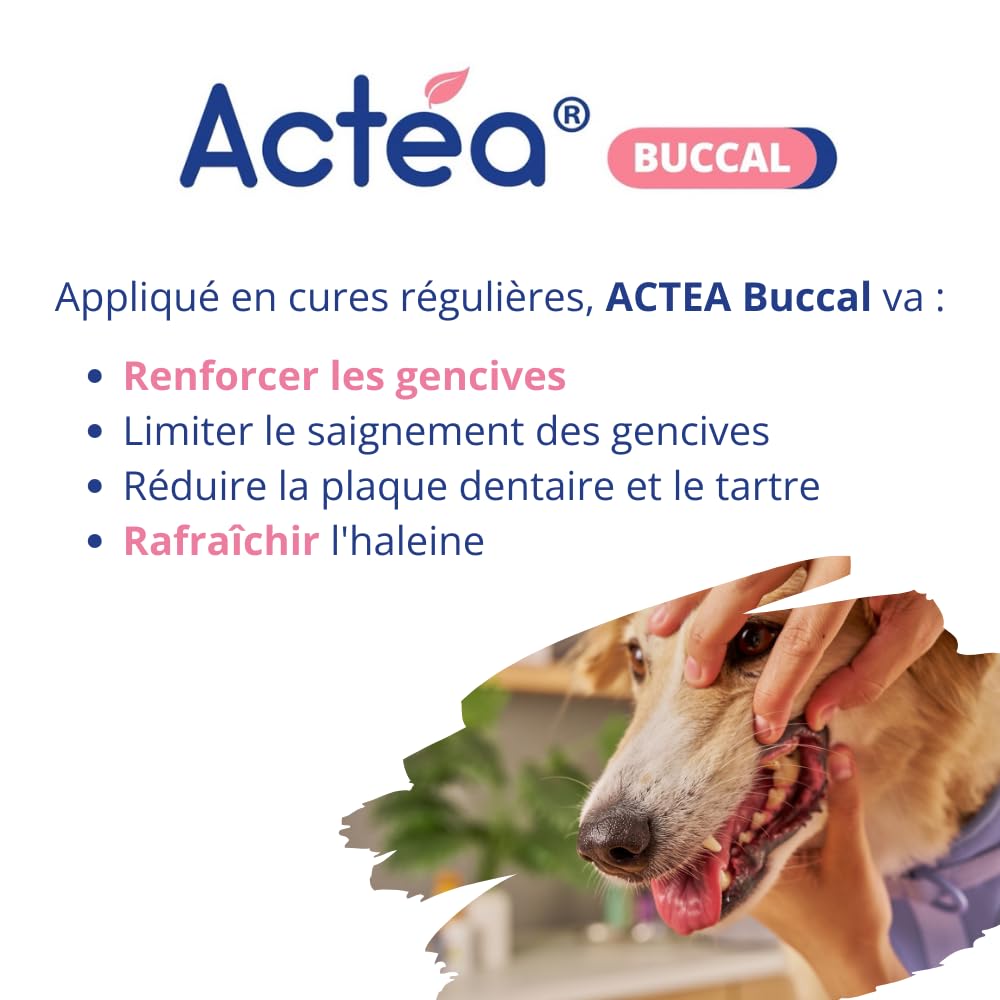 Anidev Actéa Buccal - Gel apaisant gencives Chien et Chat - Hygiène bucco Dentaire - Limite Plaque tartre et Mauvaise haleine - Effet apaisant réparateur et Protecteur 15 ML