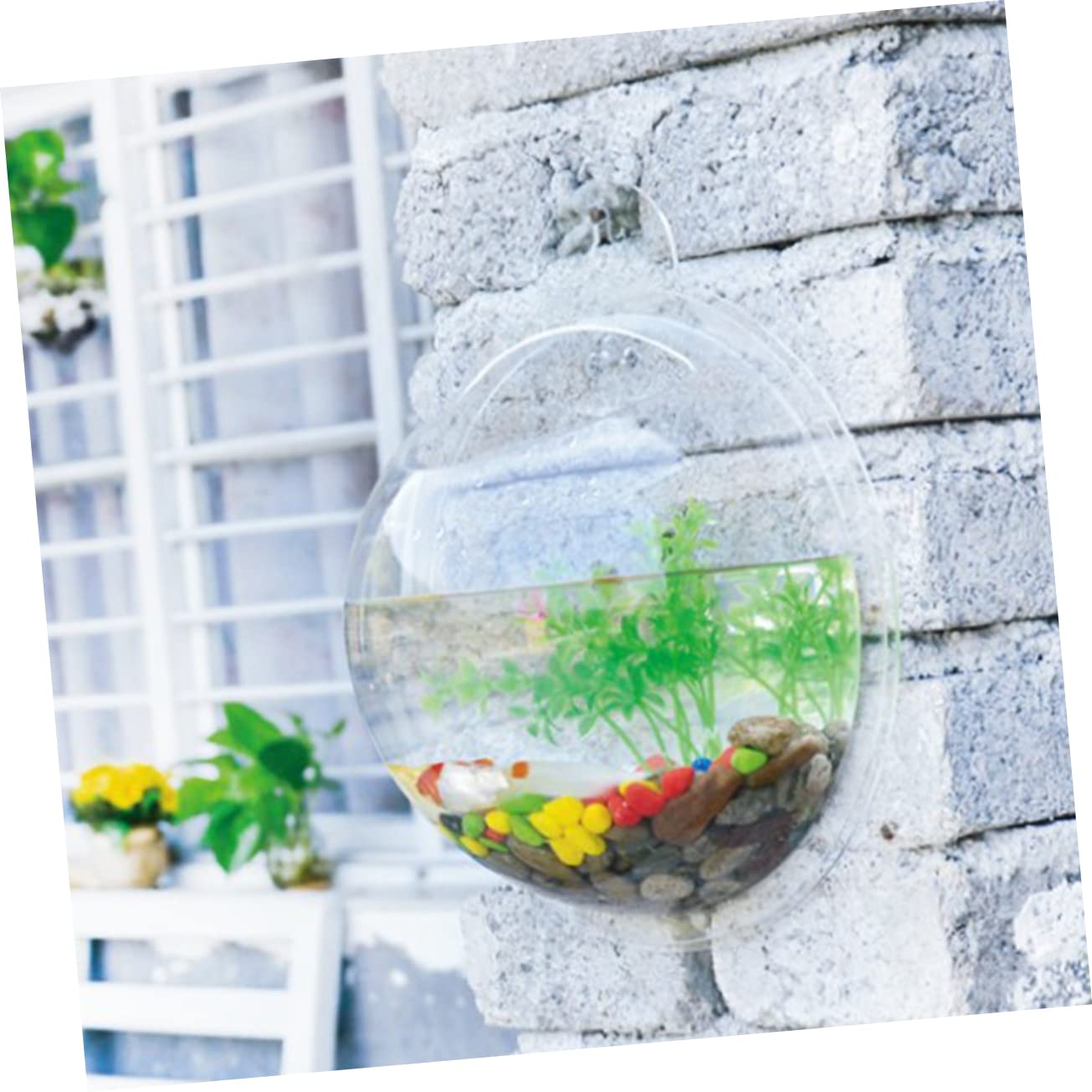 Toddmomy 3 Pièces Aquarium De Poissons Bols À Poissons pour Betta Cylindre De Poisson Aquarium Réservoirs D'Aquarium Suspendus en Acrylique Transparent Bol À Poisson Mural Bol D'Aquarium