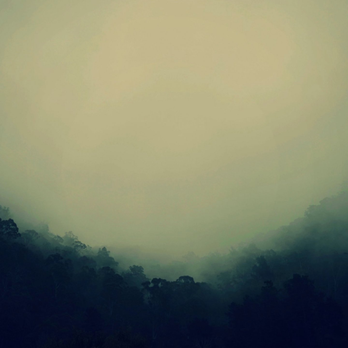 Dreaming Of Ghosts, Robot Koch, Fiora