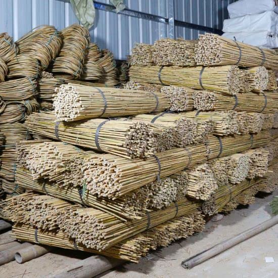 TCLPVC Bamboo Canes for Gardens/Plant Support |Lengths Pack Sizes: 4.1ft Pack of 50