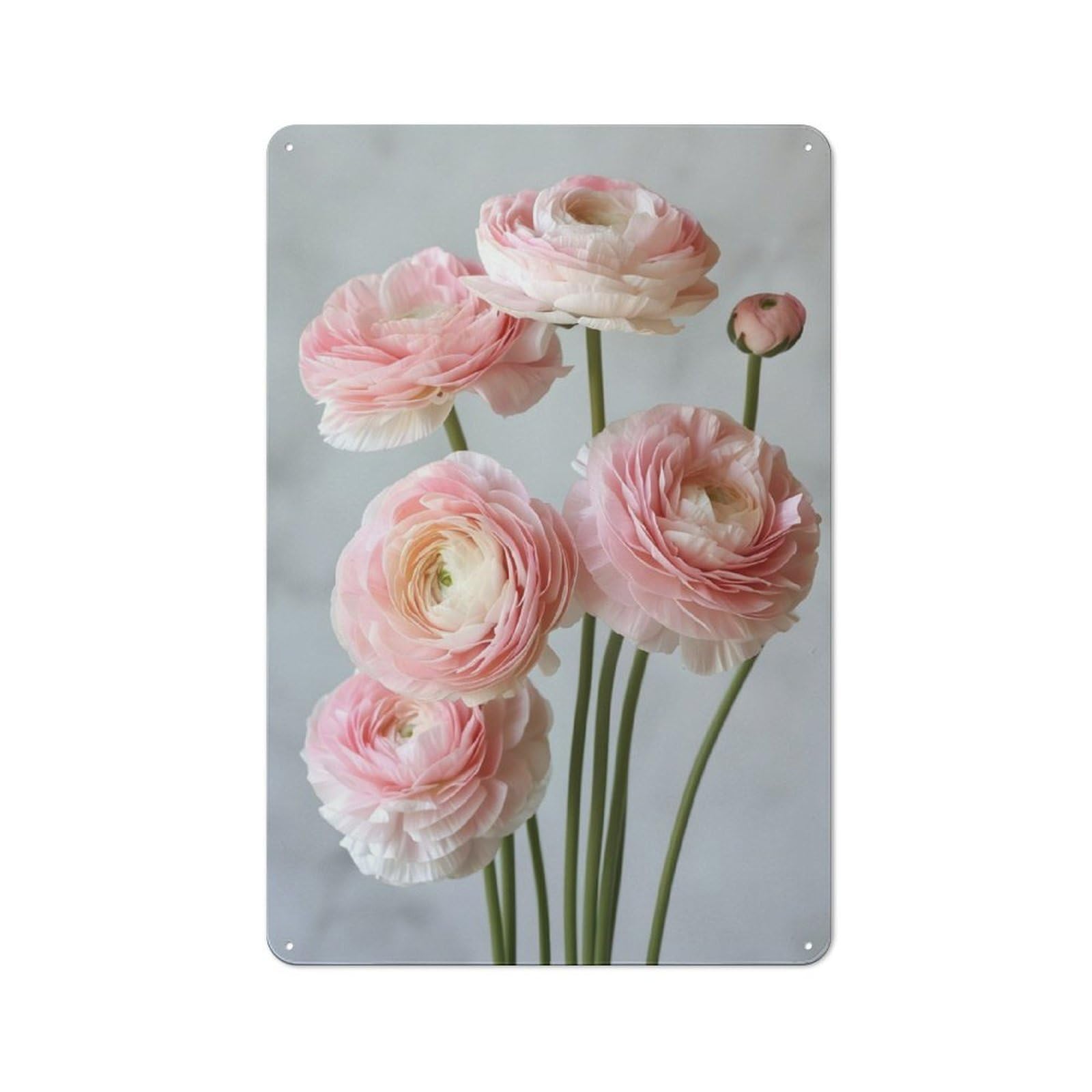 Junmoney Pink Ranunculus Tin Wall Plaque 30X20cm With For Guest Room Or Hallway, For Home Office, Studio And Craft Room Walls