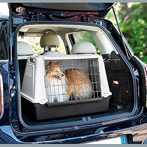 Ferplast Atlas Car Mini - Trasportino per Cani da Auto con Vani Portaoggetti e Fessure per l'Aerazione, 72 x 41 x h 51 cm - immagine 3