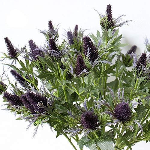 Allinlove 4 Bundles Artificial Thistle Spray Eryngo Fake Eryngium Sea Holly Flowers Bouquet Wedding Home Shop Office Restaurant Party Decor Table Centerpiece Flowers Arrangement (Purple Gray) #TOP1