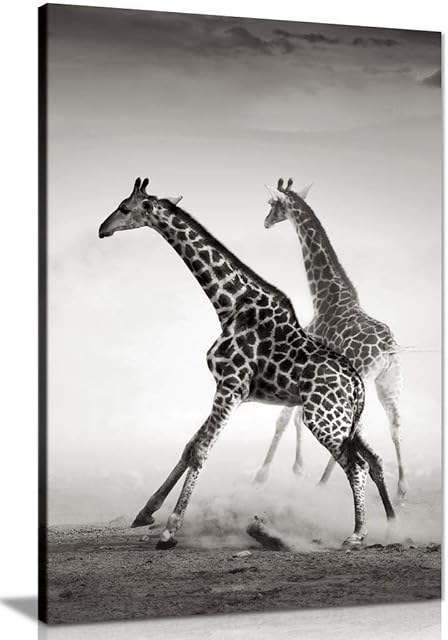 Giraffe Black & White Canvas Wall Art Picture Print (24x16)