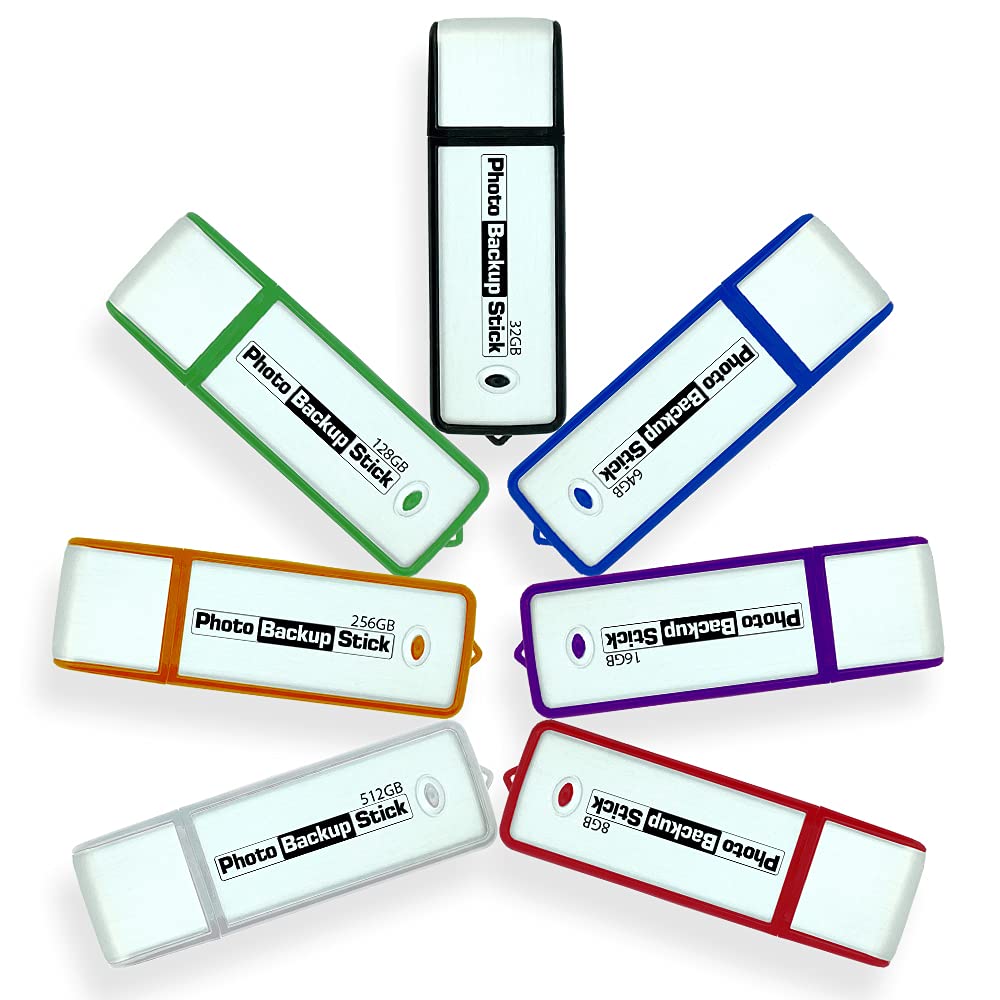 Palillo de copia de seguridad de fotos para ordenadores - Herramienta USB 3.0 de copia de seguridad de imagen y video (256 GB)