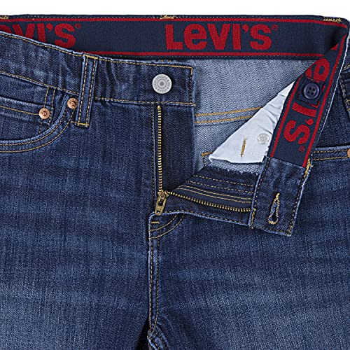 Image of Levi's Boys' Slim Fit Denim Shorts