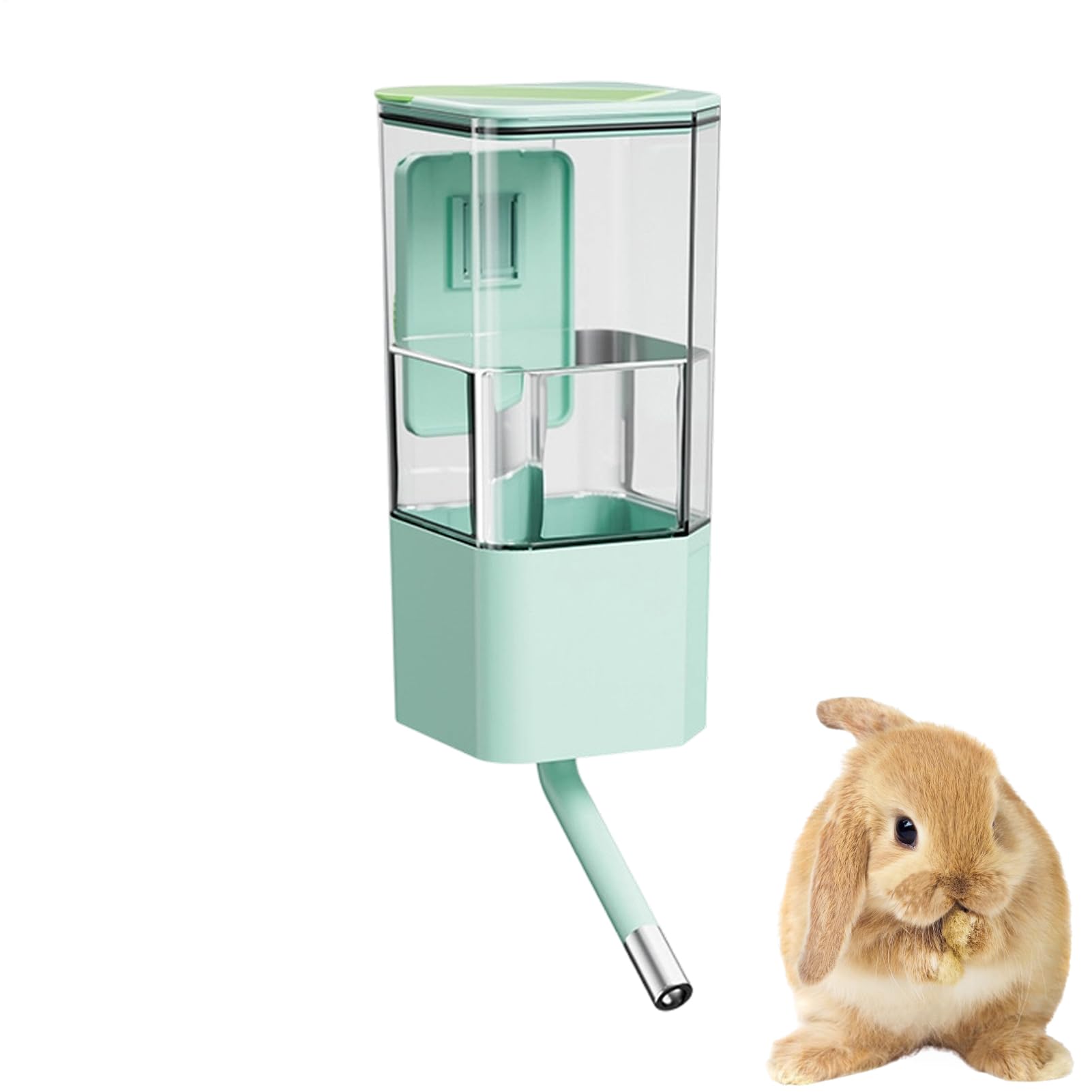 Fini la cage mouillée : distributeur d'eau pour chien anti-déversement
