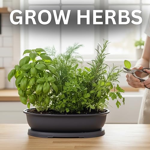 Vista 4 de CZ Grain Macetas ovaladas para bonsái de 14 pulgadas y bandeja de goteo, macetas resistentes (1 maceta)