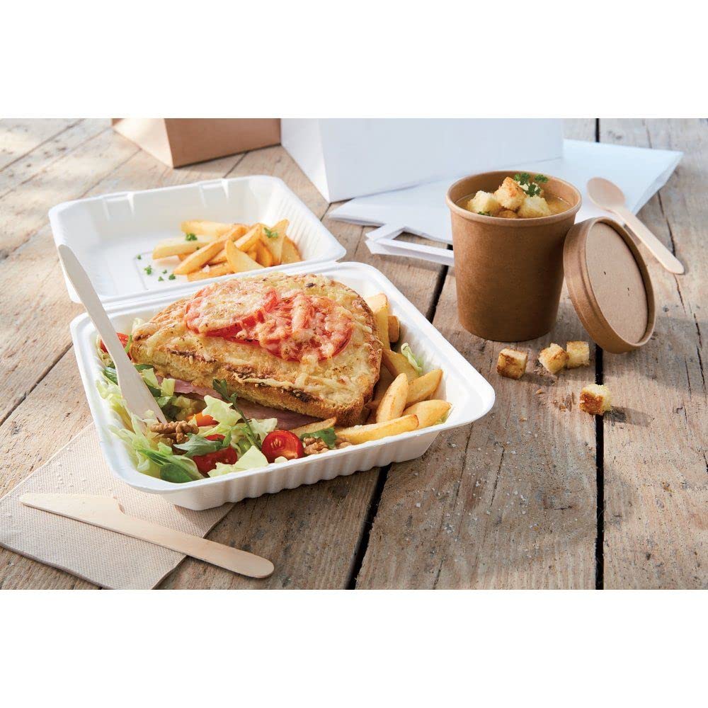 SHOBI Box per Hamburger Compostabile in Polpa di Cellulosa (200, Box Due Scomparti (24x16 cm))